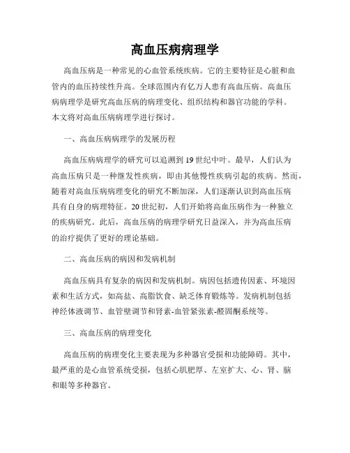 高血压病病理学