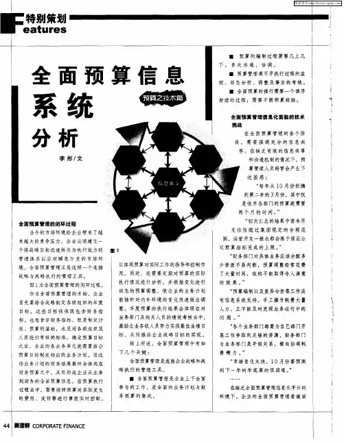 全面预算信息系统分析