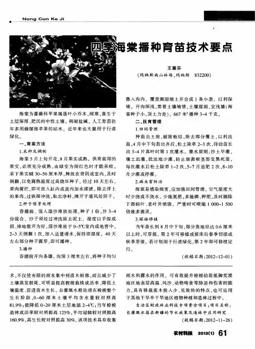 四季海棠播种育苗技术要点