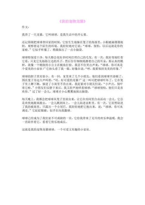 《我的宠物龙猫》