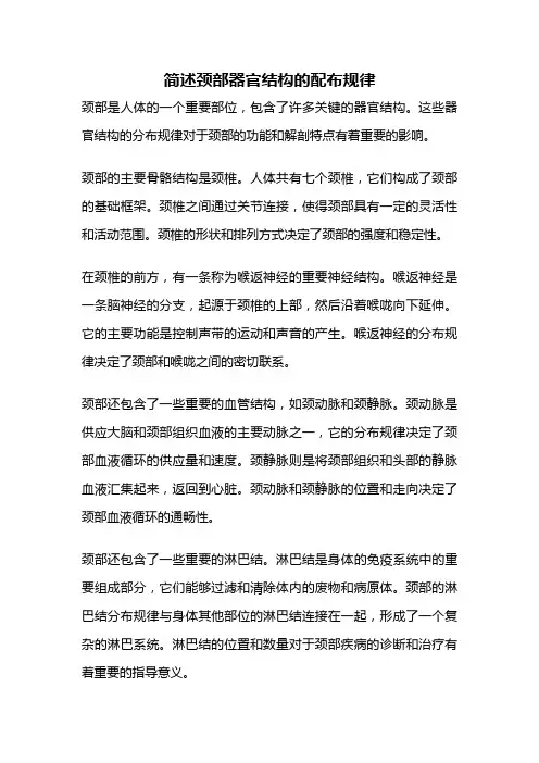 简述颈部器官结构的配布规律