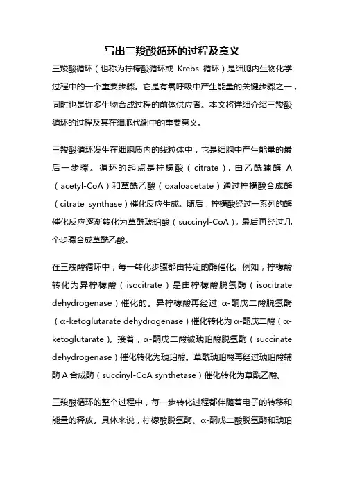 写出三羧酸循环的过程及意义