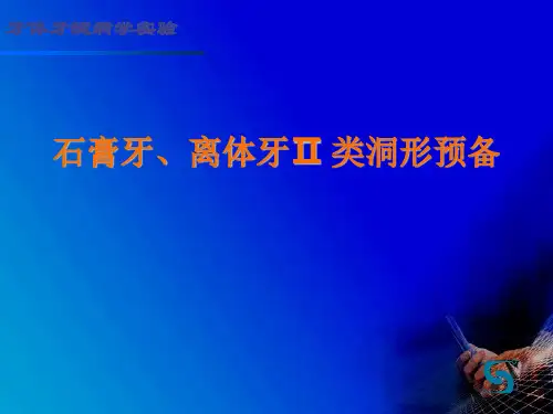 石膏牙、离体牙Ⅱ 类洞形预备PPT课件