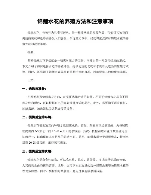 锦鲤水花的养殖方法和注意事项