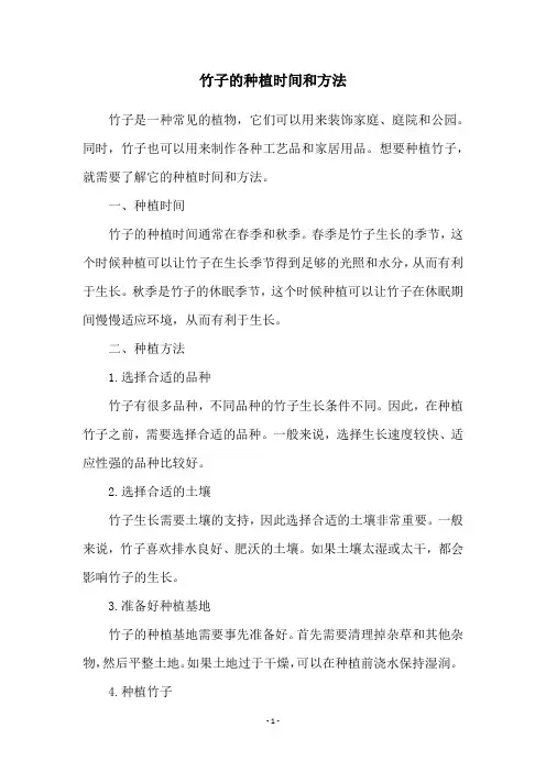 竹子的种植时间和方法