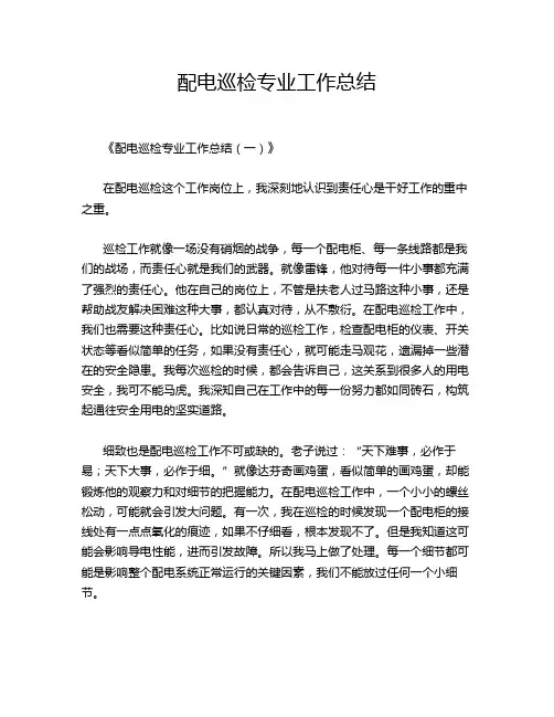 配电巡检专业工作总结