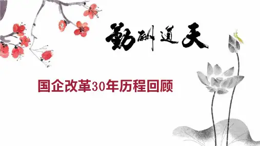 国企改革30年历程回顾