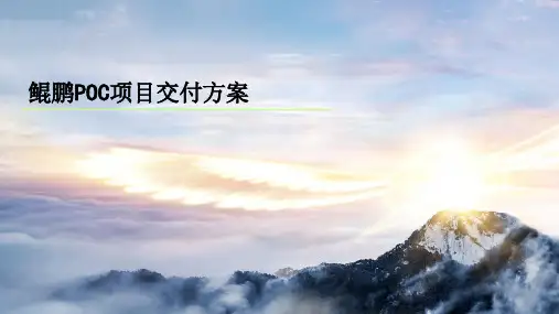 鲲鹏POC项目交付方案