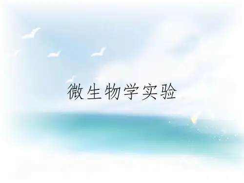 微生物学实验