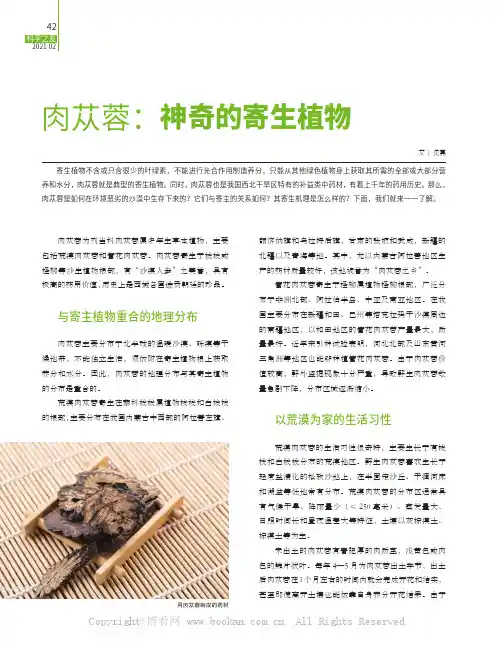 肉苁蓉：神奇的寄生植物