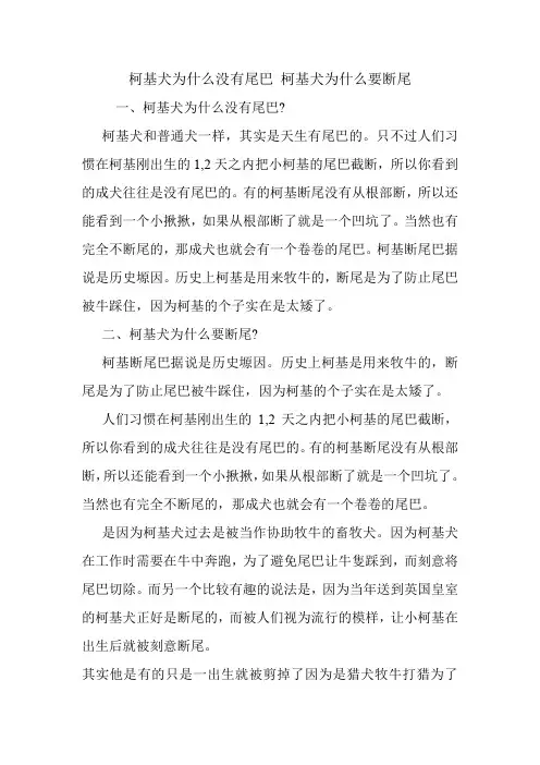 柯基犬为什么没有尾巴 柯基犬为什么要断尾