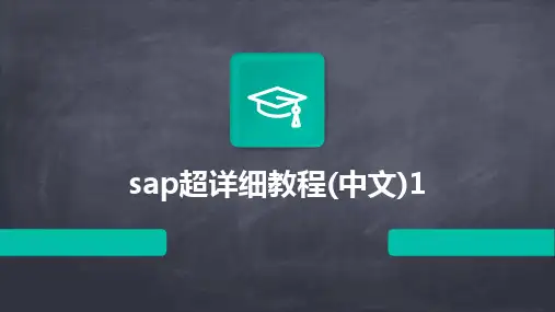 sap超详细教程(中文)1