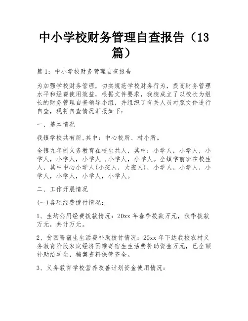 中小学校财务管理自查报告(13篇)