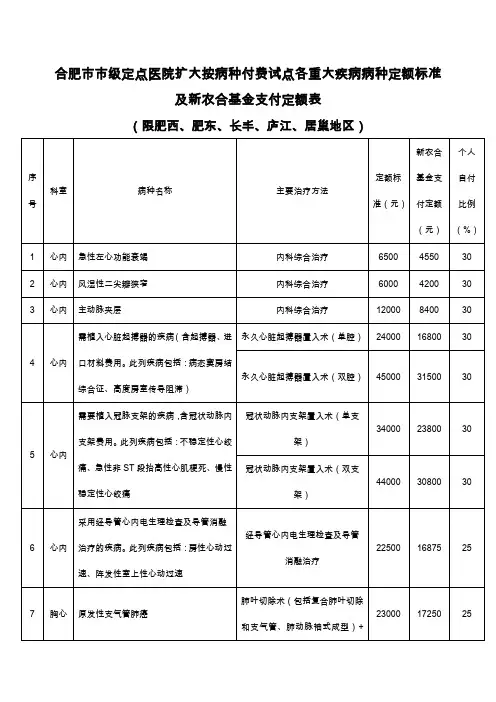 合肥市市级定点医院扩大按病种付费试点各重大疾病病种定额