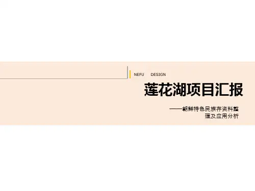 朝鲜风情村PPT