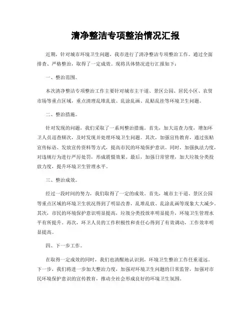 清净整洁专项整治情况汇报