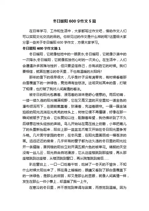 冬日暖阳600字作文5篇