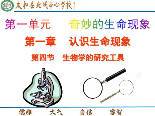 《生物学的研究工具》教学课件1 济南版