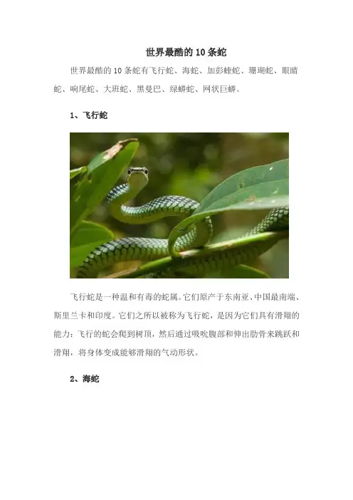 世界最酷的10条蛇