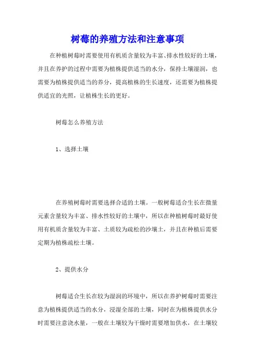 树莓的养殖方法和注意事项