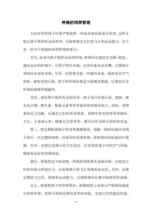 种鸽的饲养管理