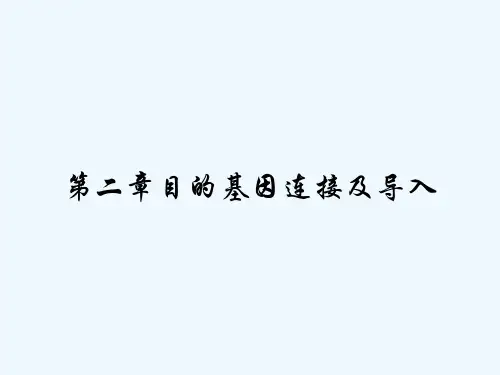 第二章目的基因连接及导入 PPT