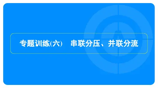2023年沪科版九年级上册物理第十五章探究电路专题训练(六)串联分压、并联分流