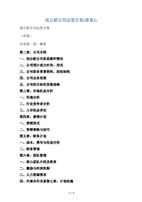 成立新公司运营方案(草案).doc