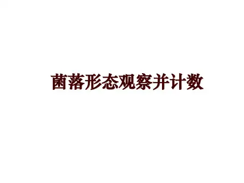 菌落形态观察并计数
