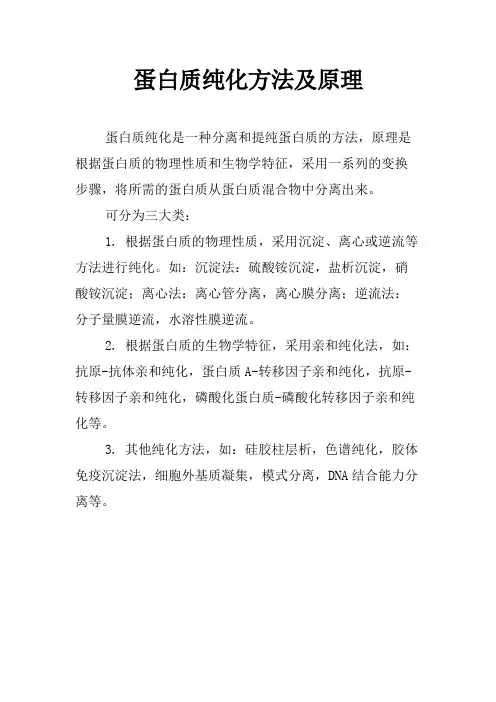 蛋白质纯化方法及原理