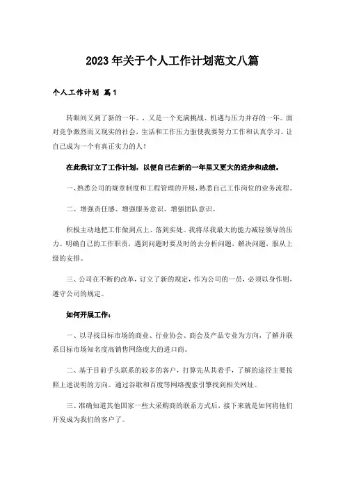 2023年关于个人工作计划范文八篇