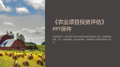 《农业项目投资评估》课件