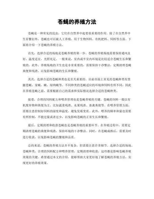 苍蝇的养殖方法