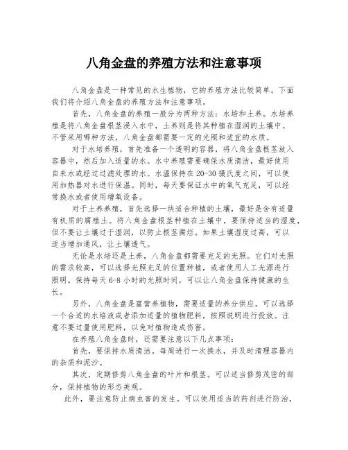 八角金盘的养殖方法和注意事项