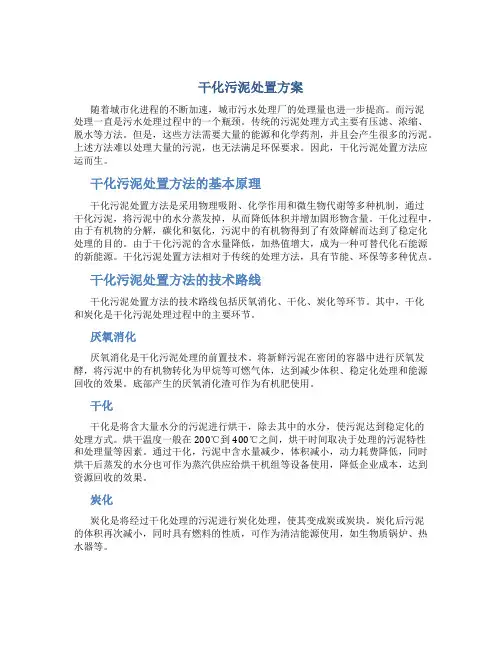 干化污泥处置方案