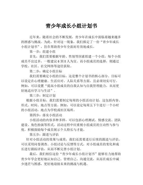 青少年成长小组计划书