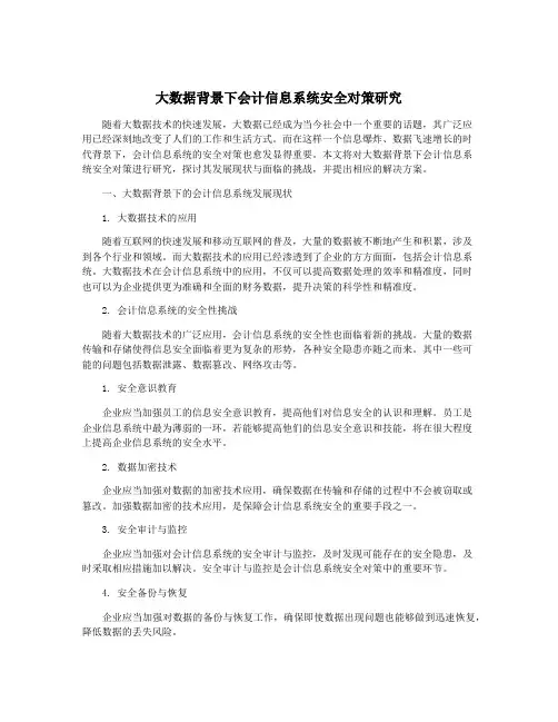 大数据背景下会计信息系统安全对策研究