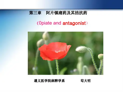 麻醉学-概述(疼痛、镇痛药的分类)
