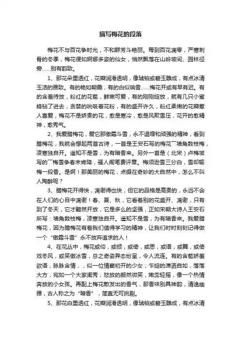 描写梅花的段落100字