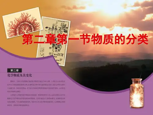 物质的分类第二课时课件.ppt