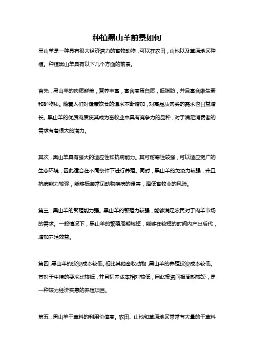 种植黑山羊前景如何