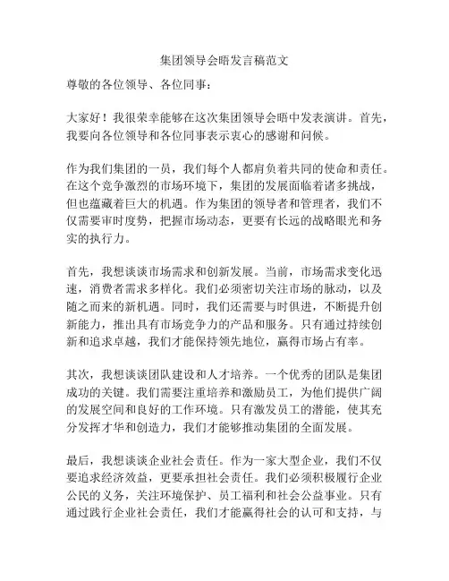 集团领导会晤发言稿范文