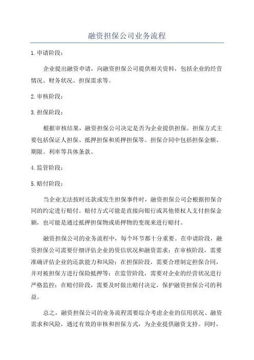 融资担保公司业务流程