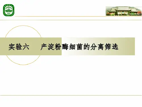实验六产淀粉酶细菌的分离筛选