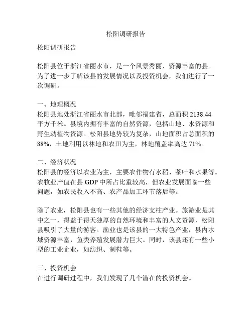 松阳调研报告