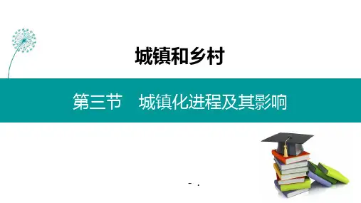 《城镇化进程及其影响》城镇和乡村PPT