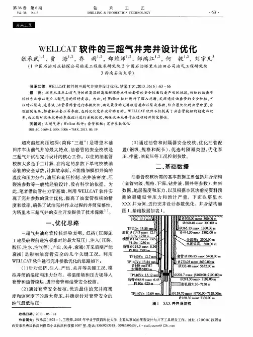 WELLCAT软件的三超气井完井设计优化