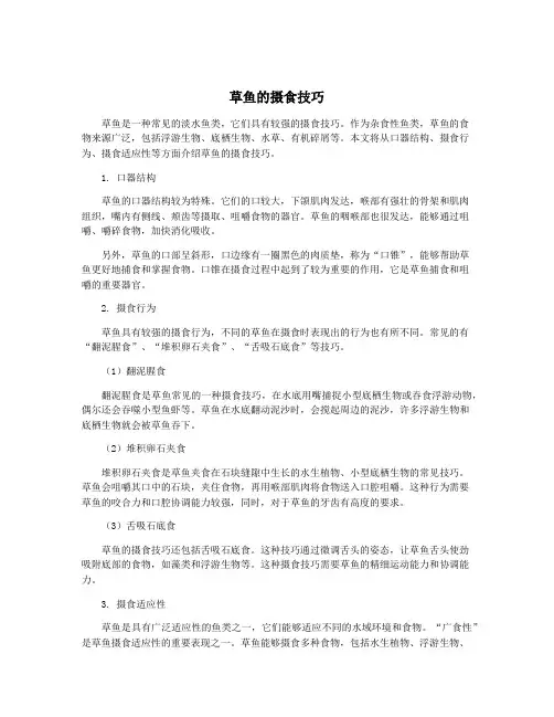 草鱼的摄食技巧