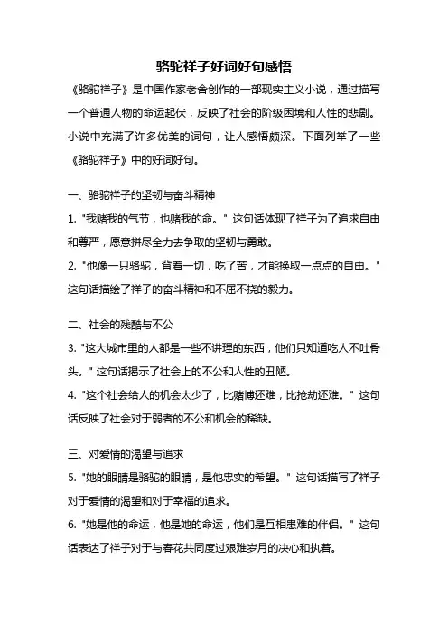 骆驼祥子好词好句感悟