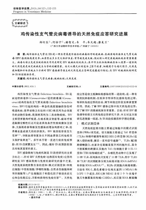 鸡传染性支气管炎病毒诱导的天然免疫应答研究进展